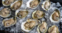 Raw oysters linked to a multistate salmonella outbreak that has sickened 64 people