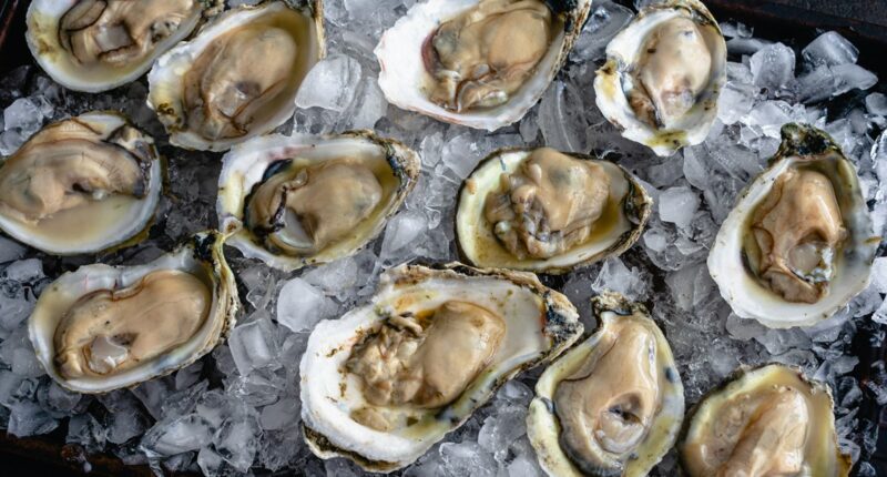 Raw oysters linked to a multistate salmonella outbreak that has sickened 64 people