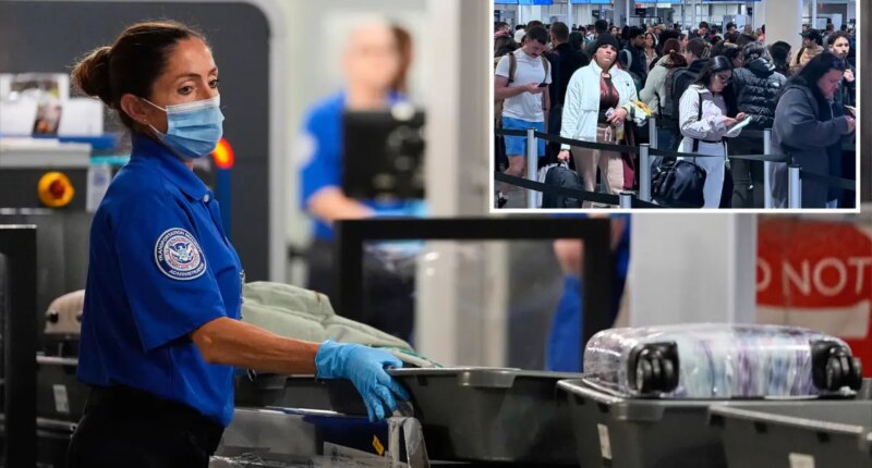 Record-breaking 3.13M passengers screened at airports on Sunday after Thanksgiving