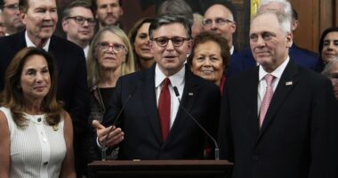 Republicans Unveil Obamacare Alternative As Subsidy Deadline Looms