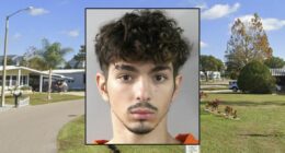 Retired nurse found 'disemboweled' after evicting teen: Cops