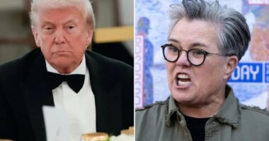 Rosie O'Donnell's therapist told her to 'detach' from Trump for two days -- she lasted only hours