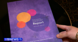 SA adopts nearly all royal commission recommendations, commits $674m to address DV