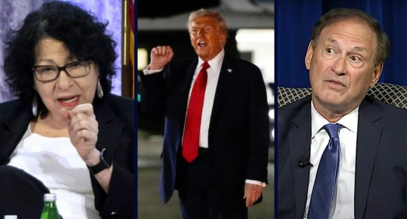 SCOTUS grills lawyer on how far Trump's firing powers may go