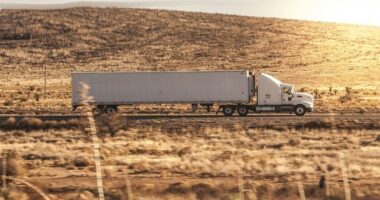 Safety First: Massive Arrests Now Targeting Illegal Alien Truck Threats