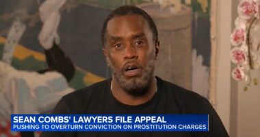 Sean 'Diddy' Combs seeks immediate release from prison in New York appeals argument