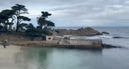 Search suspended for missing California swimmer after possible shark attack; witness says seeing a shark with body in its mouth