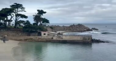 Search suspended for missing California swimmer after possible shark attack; witness says seeing a shark with body in its mouth