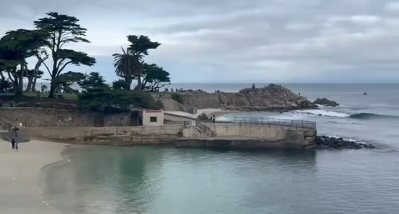 Search suspended for missing California swimmer after possible shark attack; witness says seeing a shark with body in its mouth