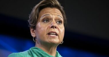 Second minister refers family travel expenses for audit as Albanese seeks advice