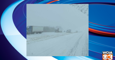 Second person dies after 7-vehicle crash on I-57 in Coles Co. last weekend