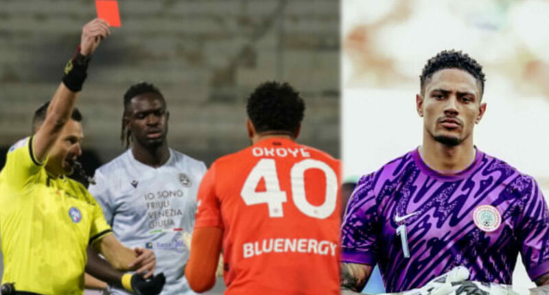 Serie A: Okoye apologises after early red card sinks Udinese