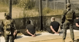 Seven men arrested in Liverpool in Sydney could soon be released, police say