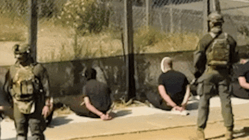 Seven men arrested in Liverpool in Sydney could soon be released, police say