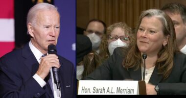 'She is a bully': Biden-appointed judge accused of 'berating' law clerks and other 'unhinged' behavior in new complaint