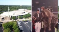 Shocking video shows camel kick woman in face, knocking her out at Texas megachurch Christmas celebration
