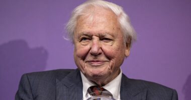 Sir David Attenborough, 99, admits major health decision that's helped with 'long life'