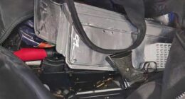 An alleged group of suspected contract killers have been arrested after a taxi carrying two armed males on their way to a suspected shooting was intercepted by police in Sydney.