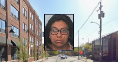 'Slapped him as hard as you would slap an adult': Babysitter causes brain bleed after she hits 7-month-old boy in the face, police say