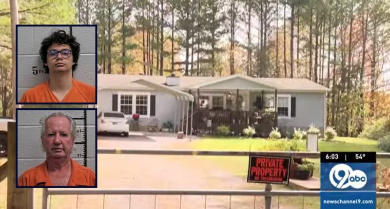 Son beat mom with baseball bat as her husband watched: Cops