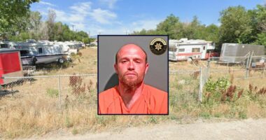 Son let mom die with 'maggots burrowing into her body'