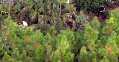 St. Johns County aerial and bodycam footage shows hourslong manhunt for fugitive