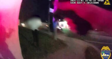 State attorney finds actions by officer who shot 14-year-old in stolen car pursuit were justified