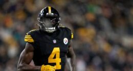 Steelers’ DK Metcalf Punches Lions Fan During Wild Altercation