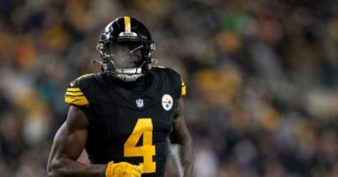 Steelers’ DK Metcalf Punches Lions Fan During Wild Altercation