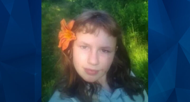 Stefanie Damron: Inconsistencies Swirl Around Dad of Missing 13-Year-Old, Neighbors Say