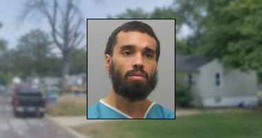 'Surrounded by blood': Grandson stabbed 81-year-old cancer-surviving grandmother 6 times in the head, neck and chest after spending the night at her home, police say