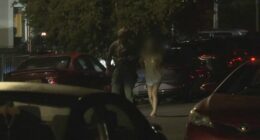 Police were seen asking the residents of the house to come outside with their hands up.