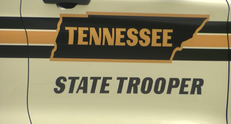 THP: 19-year-old Tusculum student dead after crash on Old Tusculum Rd.