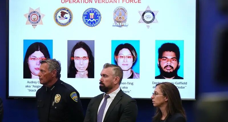 Terror attack plot involving ‘series of bombings’ across Southern California thwarted: officials