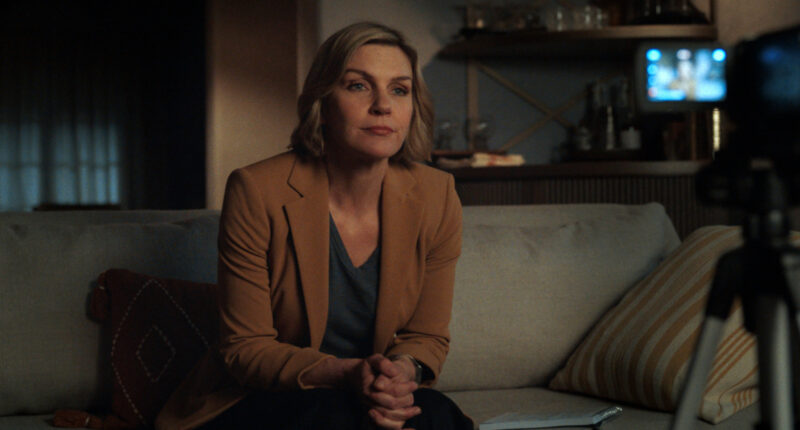 The Superman Hero You Didn't Realize Pluribus Star Rhea Seehorn Played