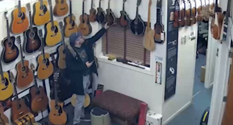 Thief returns stolen mandolins after going viral