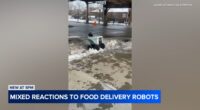 Thousands sign petition to pause robot deliveries, provide more safety data after alleged crashes, obstructions in Chicago