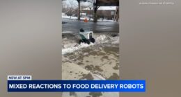 Thousands sign petition to pause robot deliveries, provide more safety data after alleged crashes, obstructions in Chicago