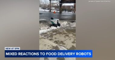Thousands sign petition to pause robot deliveries, provide more safety data after alleged crashes, obstructions in Chicago