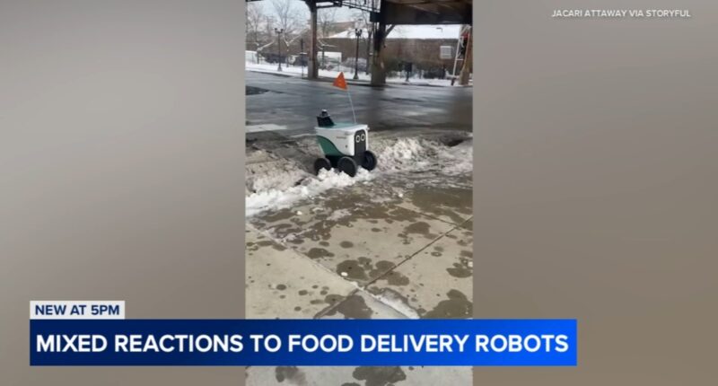 Thousands sign petition to pause robot deliveries, provide more safety data after alleged crashes, obstructions in Chicago
