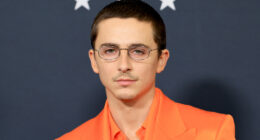 Timothée Chalamet Co-Starred In One Of Netflix's Best (And Most Underrated) Rom-Coms