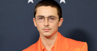 Timothée Chalamet Co-Starred In One Of Netflix's Best (And Most Underrated) Rom-Coms