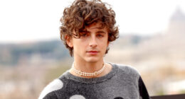 Timothee Chalamet's '80s-Set Horror Movie On Netflix Is An Underrated Gem