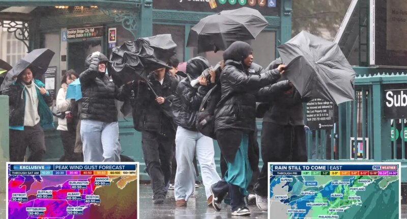 Travel nightmare unfolds at major East Coast airports as powerful storm unleashes vicious winds, rain