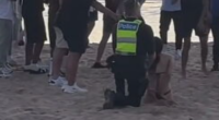 Teenagers arrested in St Kilda