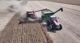 Trump Admin. announces $12B aid package for farmers; Will it be enough to help in Illinois?