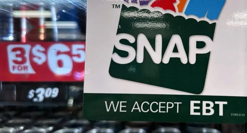 Trump admin to withhold SNAP food aid from Democrat-led states over data