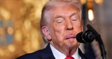 Trump bemoans destroyed reputations from Epstein files