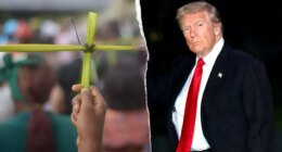 Trump launches Christmas night airstrikes on ISIS 'Terrorist Scum' in Nigeria after killings of Christians