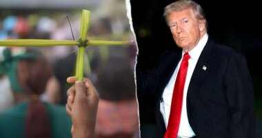 Trump launches Christmas night airstrikes on ISIS 'Terrorist Scum' in Nigeria after killings of Christians